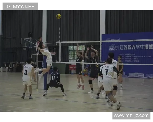 排球盛宴：深入探索杭州排球队的耐力与团队精神