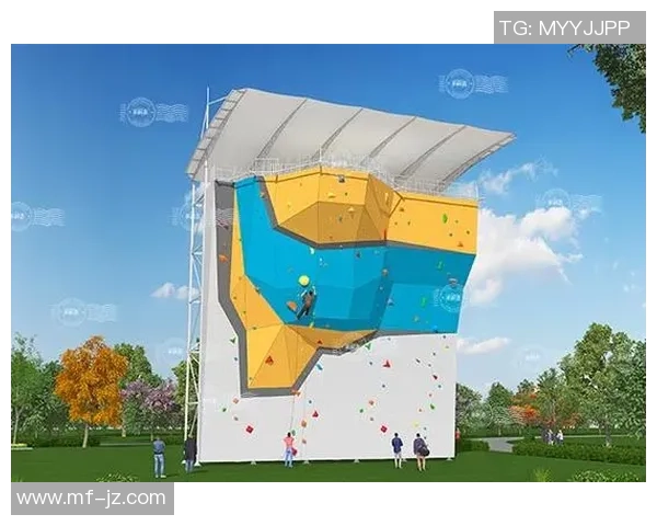 武汉攀岩队意识对比深度剖析与训练效果的关系探讨